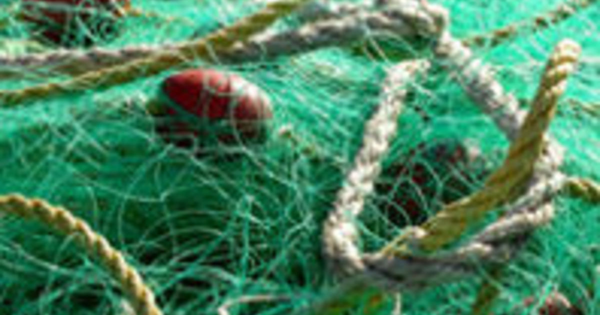 Artificial muscles made from fishing line Plastics le Mag