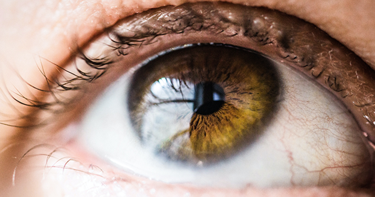 An artificial cornea to restore sight Plastics le Mag