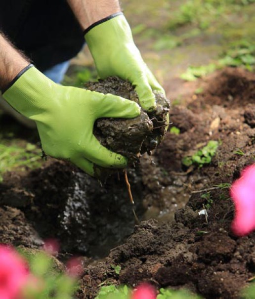 Plastics in the garden