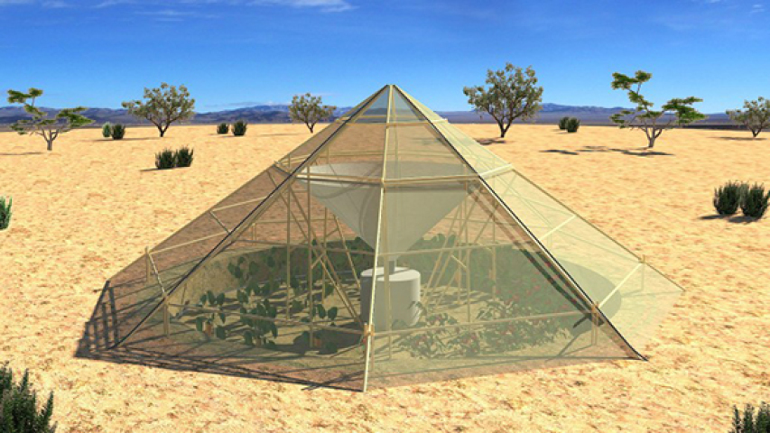 Greenhouse in the desert