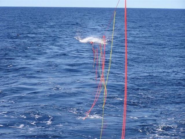 Seabird, une ligne de vie pour la pêche et la faune marine