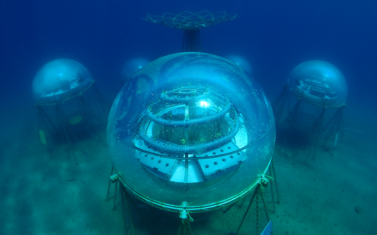 An underwater vegetable garden under a plastic bell!