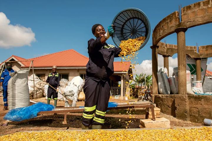 Ghana, when the circular economy benefits women